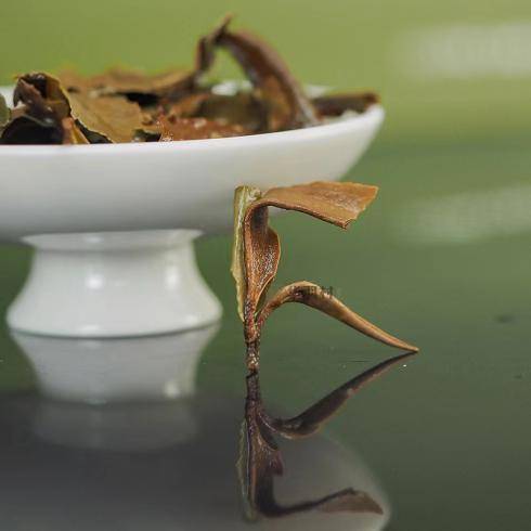 秋季适合饮用的茶种类