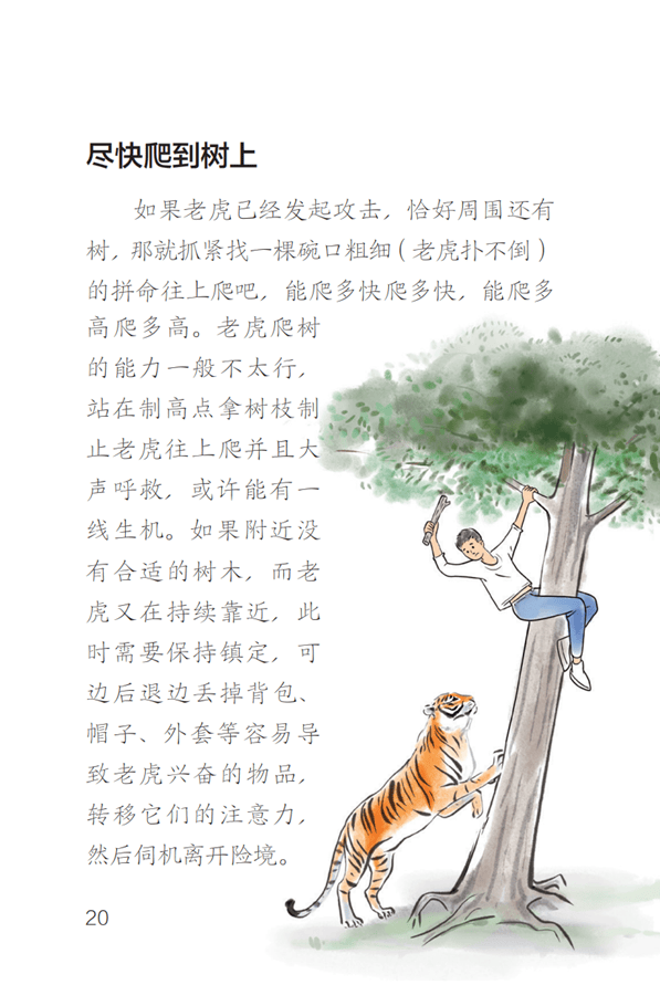 东北虎豹国家公园管理局：若确为野生东北虎肇事，将理赔、垫付医疗费