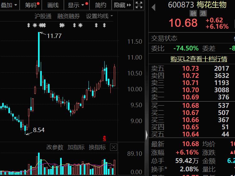 300378，AI收入暴增超102%！机构密集关注