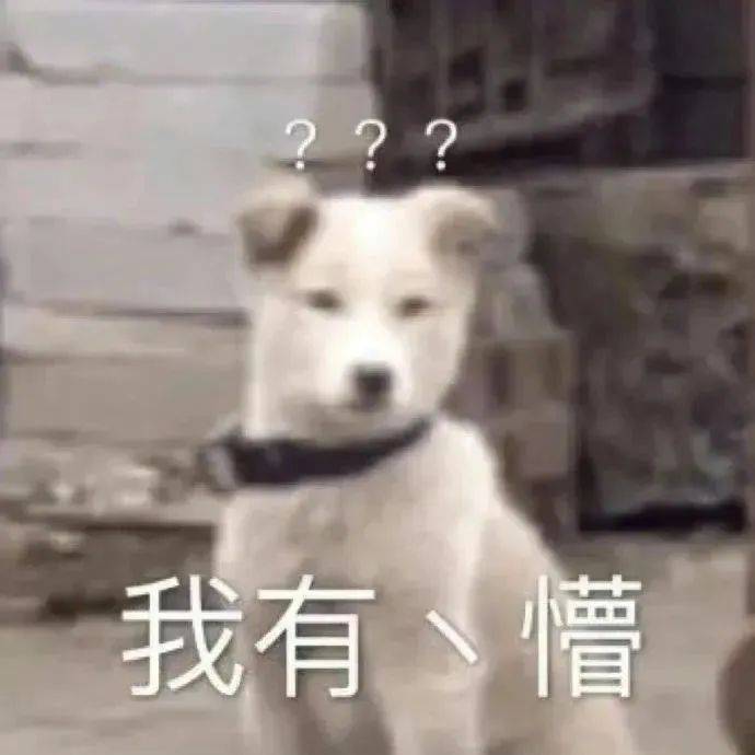 用货拉拉只送一箱牛奶？司机果断把车开进了派出所……