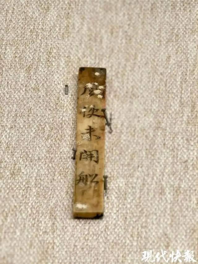 安徽一博物馆被曝有文物发霉，“从头到尾全是霉菌”！馆方回应……