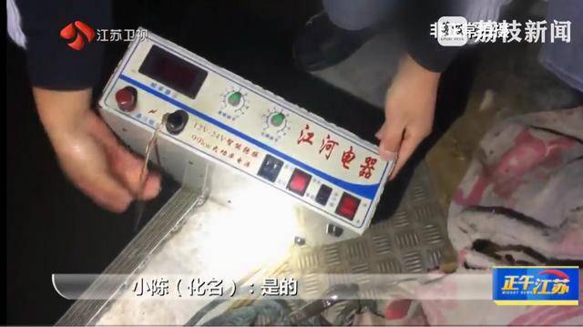 江苏洪泽湖有人毒鸟电鱼？淮安市相关部门：已了解相关情况 正在核实处理
