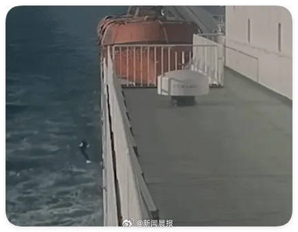 丈夫推妻入海骗保1200万事后在酒店招嫖