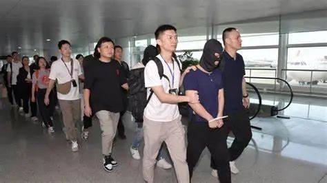 王毅妙瓦底重磅发声：电诈黑幕将终结，中国行动蓄势待发！