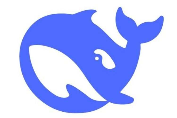 DeepSeek站在巨人肩上，这个巨人到底是什么？