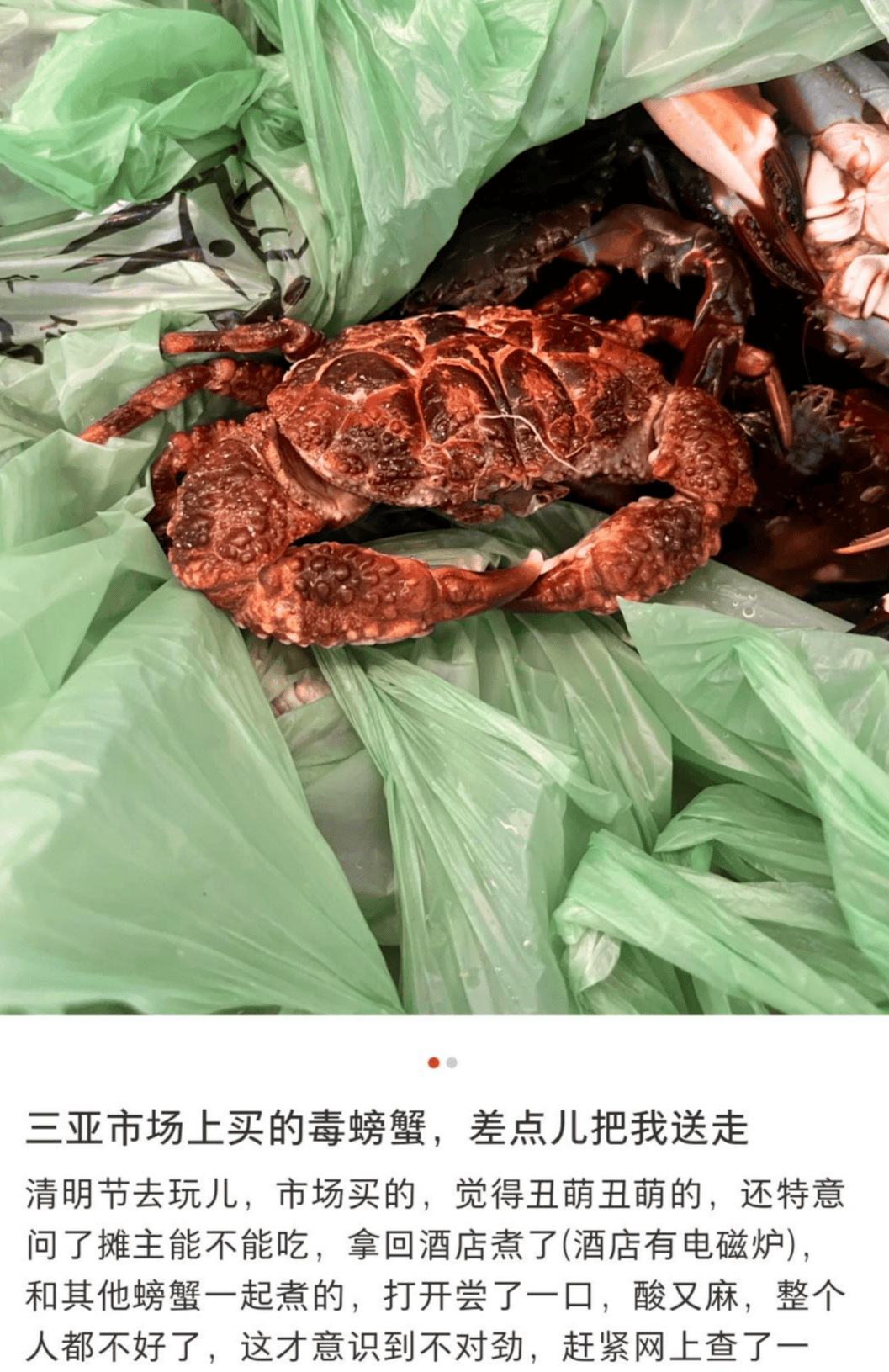 网友称在海鲜市场买到毒螃蟹，三亚市监局回应：属实，系铜铸蟹，具有一定食用中毒风险