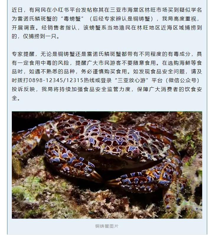 网友称在海鲜市场买到毒螃蟹，三亚市监局回应：属实，系铜铸蟹，具有一定食用中毒风险