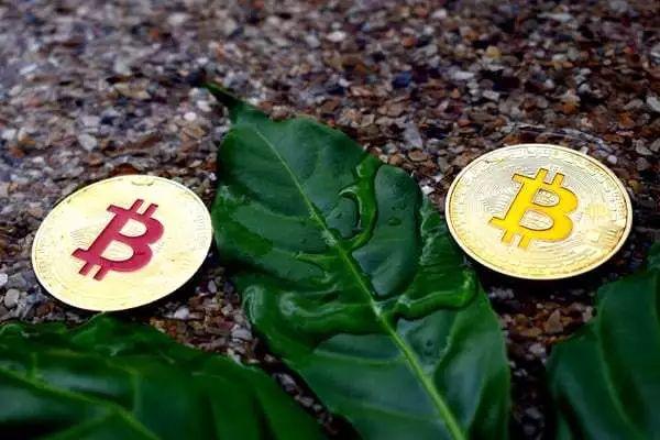 核发虚拟币(发行虚拟币是否违法)