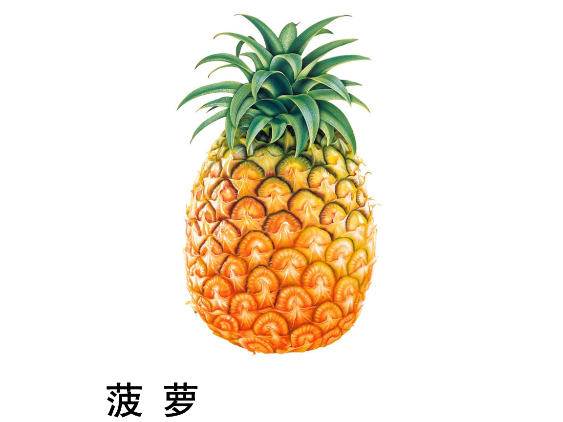 虚拟榴莲币(榴莲币骗局过程)
