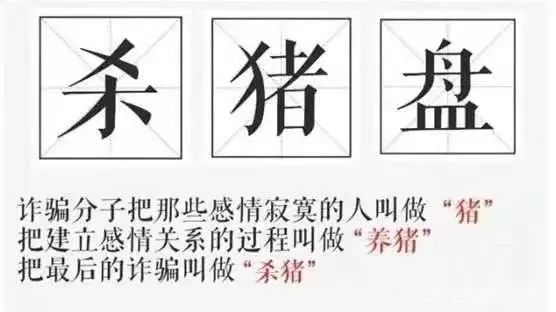 虚拟币杀猪(2021虚拟币骗局破案)